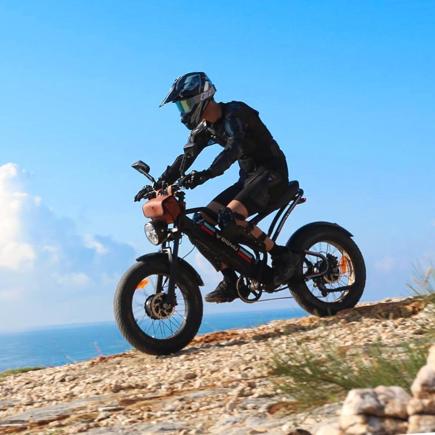 Electric Bike,2000W Dual Brushless Motor, 48V/22.4Ah Removeable Battery Ebike,Front/Rear Turn Signal,Rearview Mirror and 7 Gear Electric Bicycle