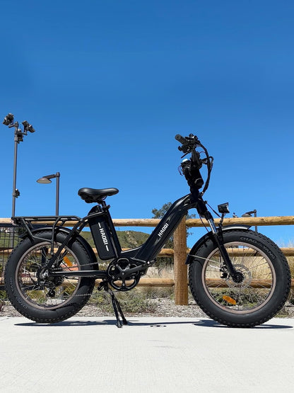 Antelope Electric Bike for Adults, Dual Battery Fat Tire Ebike, 750W Motor 48V 25AH Removable Battery, 20" X 4.0 Step-Thru Electric Bicycle with