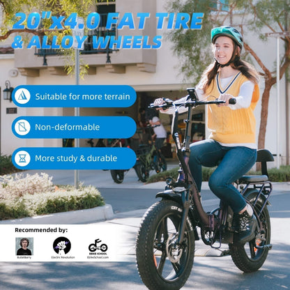 Rattan 750W Electric Bike for Adults 48V 13AH Removable Battery Foldable Electric Bikes LM/LF Pro Ebike 20" X 4.0 Fat Tire Electric Bicycles 2 Seater