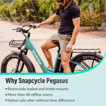 Electric Bike for Adults,1000W Peak Motor 28MPH with 26" X 4.0 Fat Tire Step-Thru Ebike,48V 15AH Removable Battery, Hydraulic Brake, Shock Absorber,