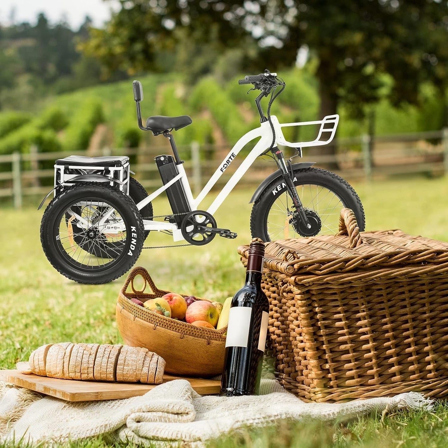Electric Trike, 3 Wheel Motorized Bicycle with Big Wheels, Comfortable Three Wheel Tricycle for Adults, 750W Motor