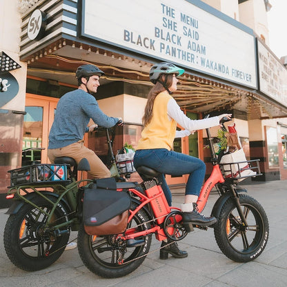 Rattan 750W Electric Bike for Adults 48V 13AH Removable Battery Foldable Electric Bikes LM/LF Pro Ebike 20" X 4.0 Fat Tire Electric Bicycles 2 Seater