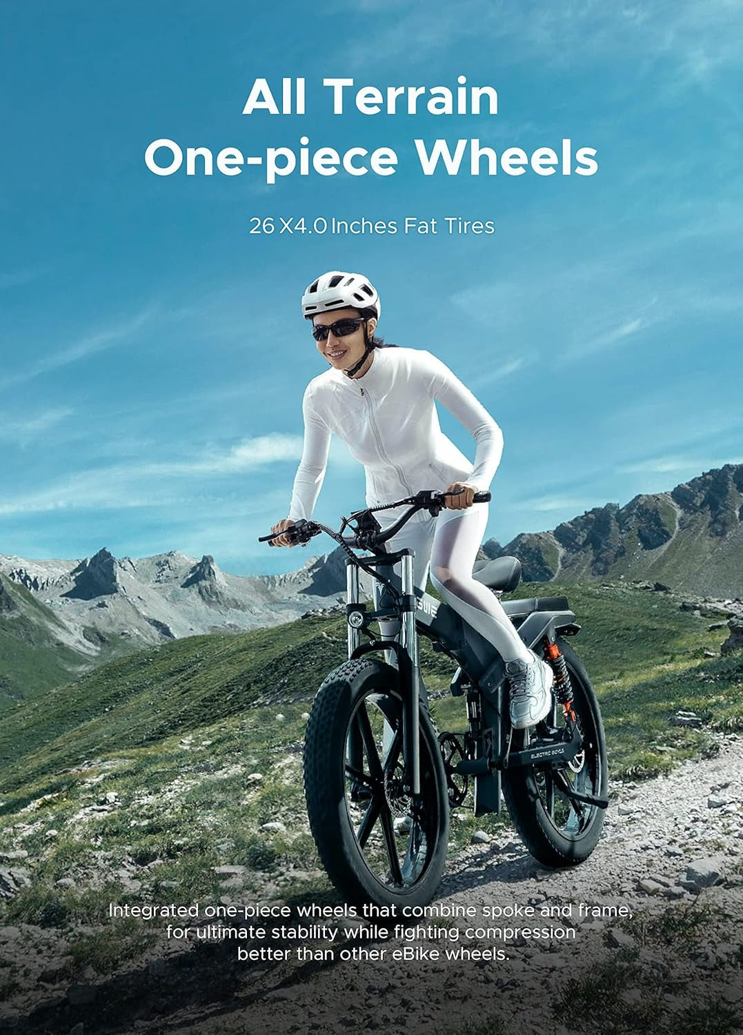 X20 X24 Fat Tire Electric Bike, 1000W(Peak) Motor Ebike for Adults,95 Miles 31MPH 20''24'' Mountain Ebike，48V19.2A(29.2Ah-Dual Battery Option),All