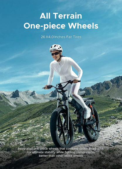 X20 X24 Fat Tire Electric Bike, 1000W(Peak) Motor Ebike for Adults,95 Miles 31MPH 20''24'' Mountain Ebike，48V19.2A(29.2Ah-Dual Battery Option),All