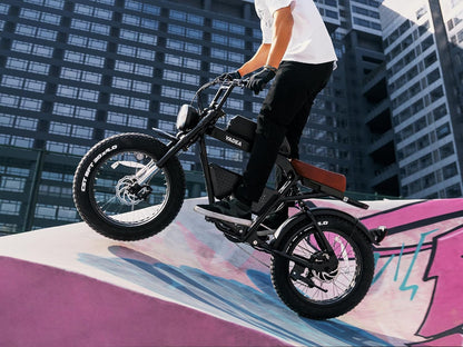 Trooper 01 Electric Bike for Adults Electric Bicycle Electric Mountain Bike 750W Motor 48V 20Ah LG Battery 20" Fat Tire