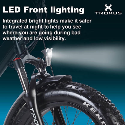 Electric Bike for Adults, Fat Tire Mountain E-Bike with 750W Powerful Rear Hub Motor and Disc Brakes, Extra Long Range E-Bicycle