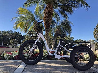 Caddy Pro/Caddy Élecṭrīc Ṭrīcycle 48V 500W Best Élecṭrīc Ṭrīke 24 Inch Fat Tire Eṭrīke 3 Wheel Ébīᴋe Rear Basket Cargo for Heavy Carrying