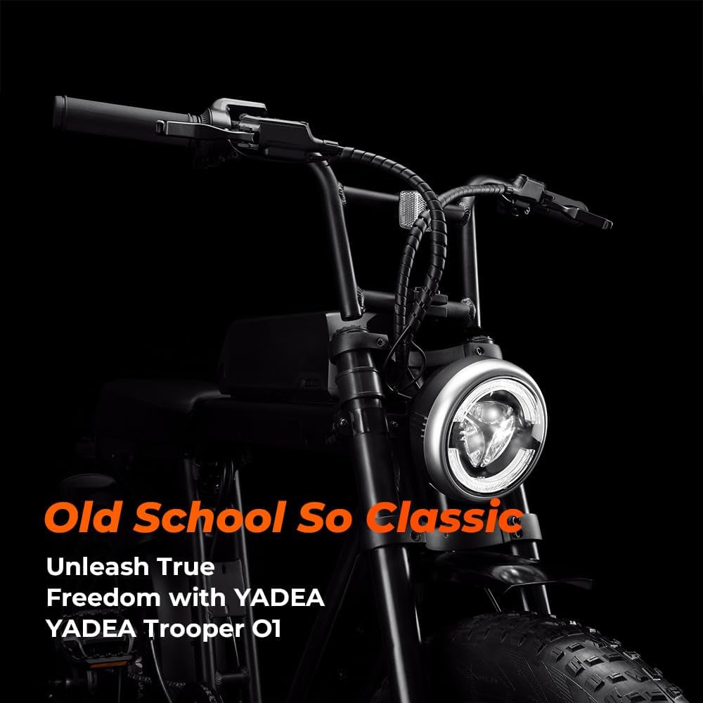 Trooper 01 Electric Bike for Adults Electric Bicycle Electric Mountain Bike 750W Motor 48V 20Ah LG Battery 20" Fat Tire