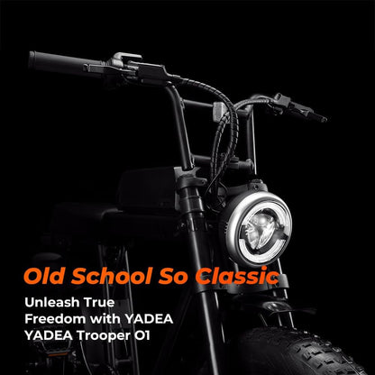 Trooper 01 Electric Bike for Adults Electric Bicycle Electric Mountain Bike 750W Motor 48V 20Ah LG Battery 20" Fat Tire
