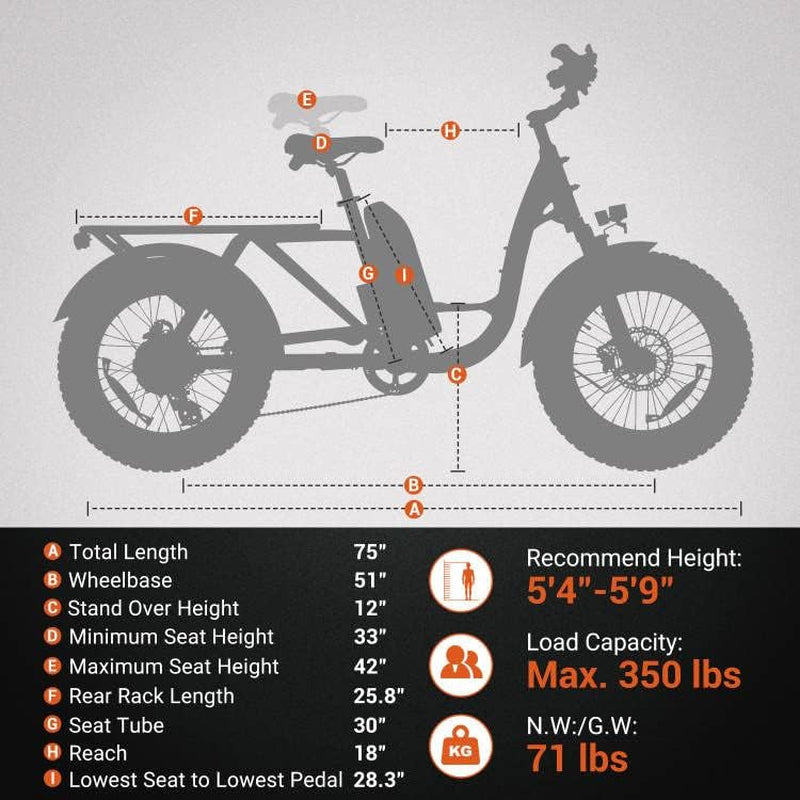 M-81 Electric Bike for Adults,750W 105 Miles, 48V 20AH Removable Samsung Battery UL Certified, Long-Tail Cargo Electric Bicycle, 20"X4" Fat Tire