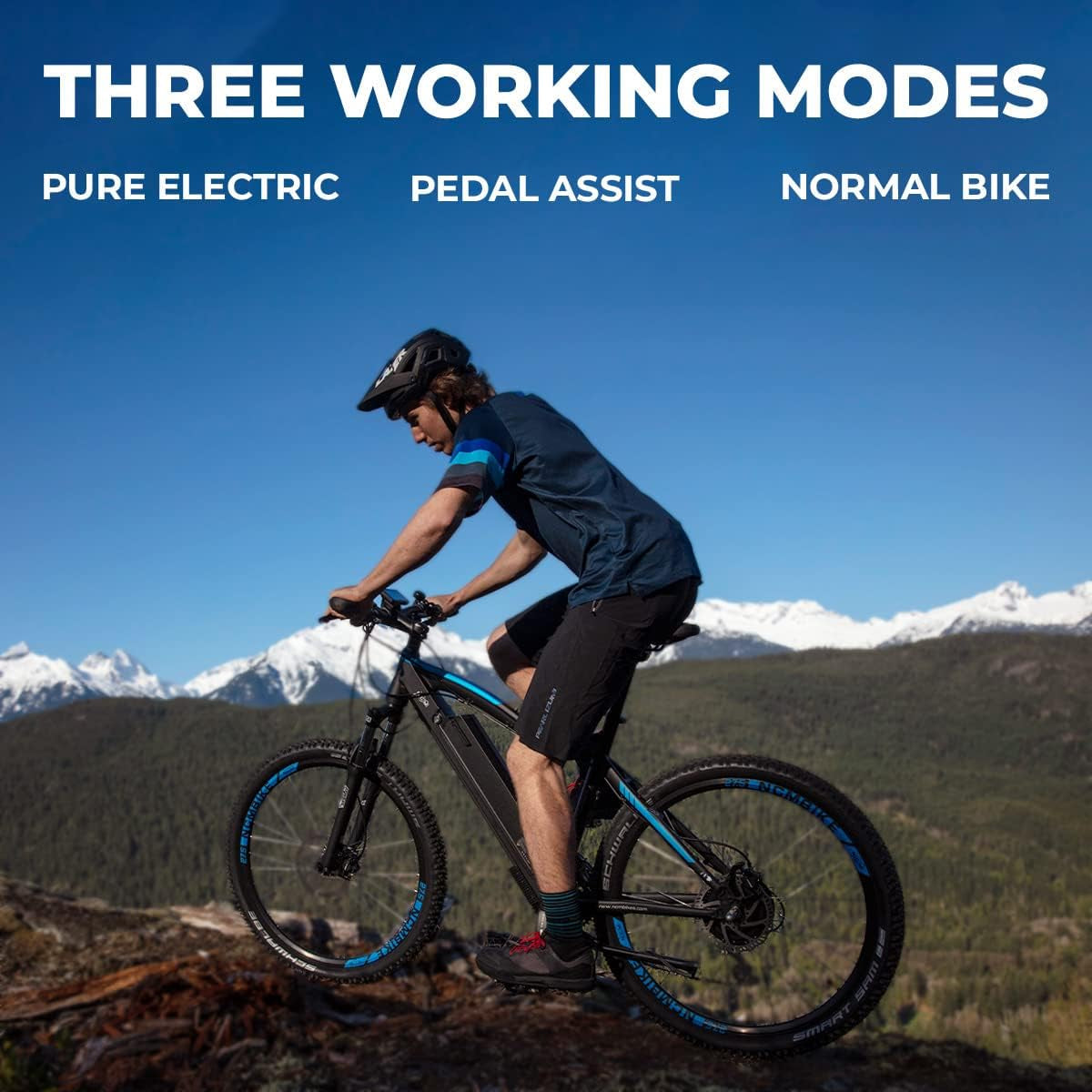 Moscow plus Electric Mountain Bike E Bike for Adults, 750W Powerful Hub Motor, 48V768Wh Large Removable Battery, USB Port, Hydraulic Disc Brake, 24
