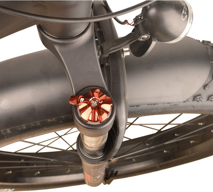 DJ Fat Bike 750W 48V 13Ah Power Electric Bicycle, Matte Black, LED Bike Light, Suspension Fork and Shimano Gear
