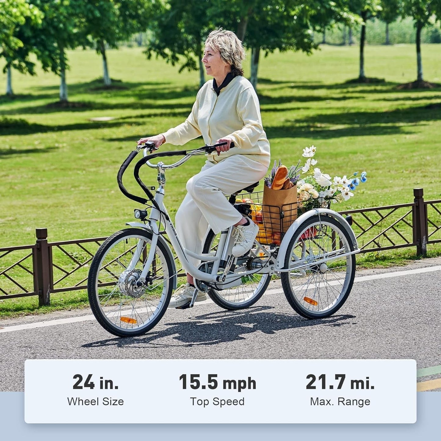 Electric Trike, 350W Electric Tricycle for Adults with Dual Chains, UL Tested 36V 10Ah Battery, 3 Wheel Electric Bicycle, E Trike with Basket for