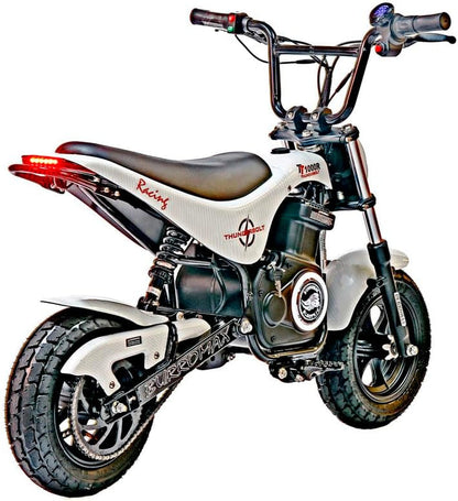 TT1000R, 1000W 48V Lithium Ion, 4 Speeds, 30 Mph, up to 350Lb Rider, Electric Mini Bike
