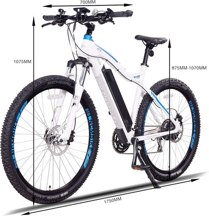 Moscow plus Electric Mountain Bike E Bike for Adults, 750W Powerful Hub Motor, 48V768Wh Large Removable Battery, USB Port, Hydraulic Disc Brake, 24