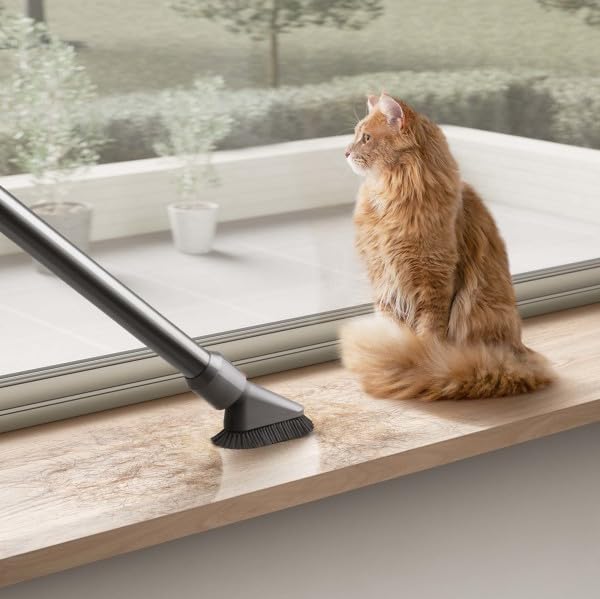 Dyson V12 Detect Slim+ Cordless Vacuum