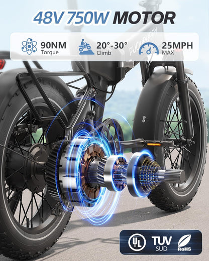 Electric Bike, Folding Electric Bike 750W 48V 20Ah Removable Battery 20MPH, 20" X 4" Fat Tire Ebike for Adults Men Women, Electric Mountain Bike with