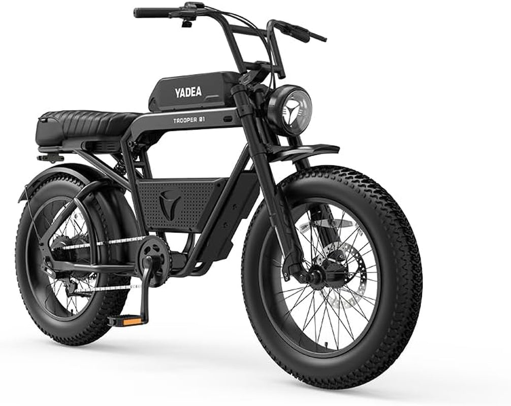 Trooper 01 Electric Bike for Adults Electric Bicycle Electric Mountain Bike 750W Motor 48V 20Ah LG Battery 20" Fat Tire