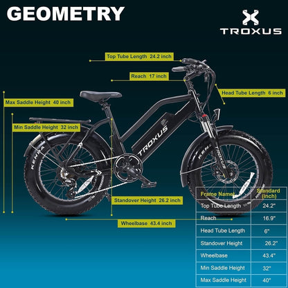 Electric Bike for Adults, Fat Tire Mountain E-Bike with 750W Powerful Rear Hub Motor and Disc Brakes, Extra Long Range E-Bicycle