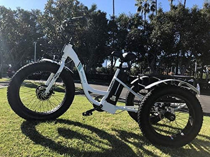 Caddy Pro/Caddy Élecṭrīc Ṭrīcycle 48V 500W Best Élecṭrīc Ṭrīke 24 Inch Fat Tire Eṭrīke 3 Wheel Ébīᴋe Rear Basket Cargo for Heavy Carrying
