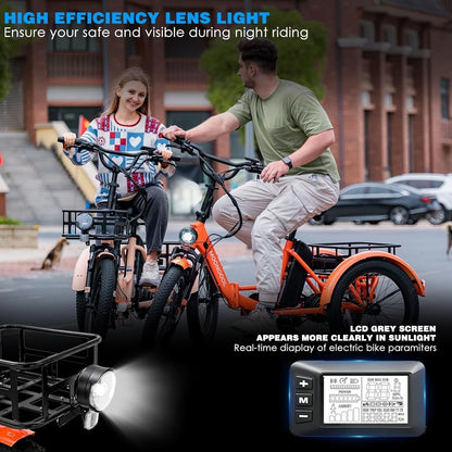 Electric Tricycle Adult Electric Bicycles, 350W 36V Electric Trike, 24" 26" 3 Wheel Electric Bike Ebike E Bicycle with Removable Battery, Motorized