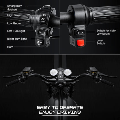 Electric Motorcycle for Adults 4000W M1P Pro, 49MPH 55 Mlies Long Range,60V 42AH Battery Full Suspension, Extra Battery Double Mileage Registrable