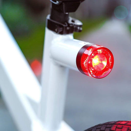 V1 Electric Bike