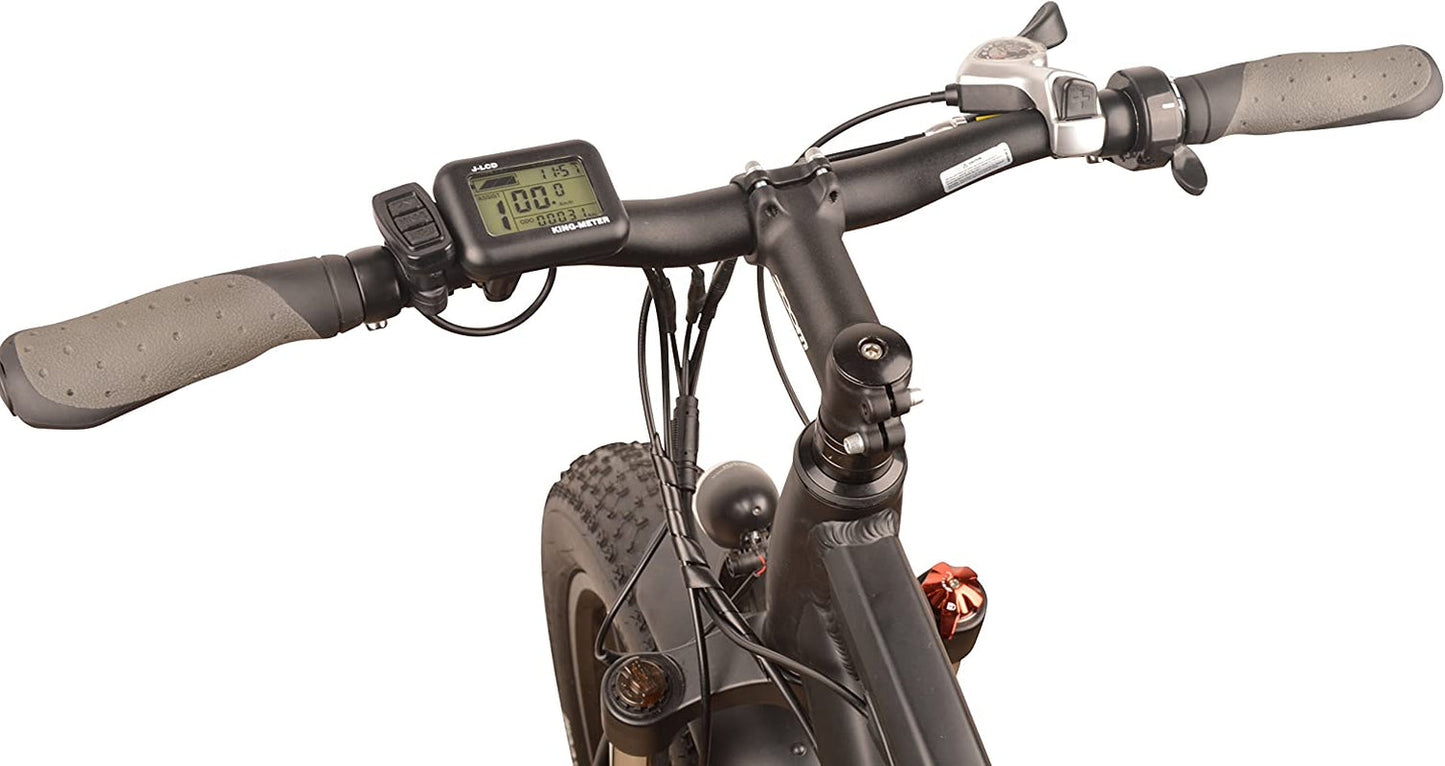 DJ Fat Bike 750W 48V 13Ah Power Electric Bicycle, Matte Black, LED Bike Light, Suspension Fork and Shimano Gear