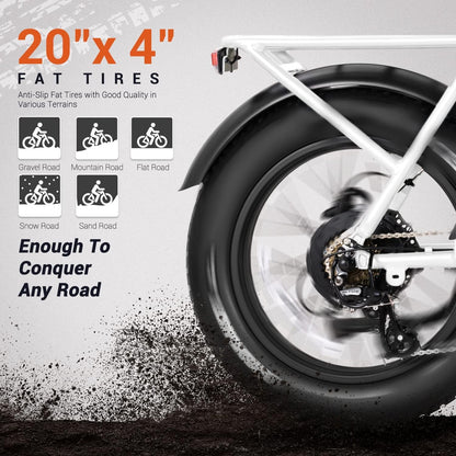 M-81 Electric Bike for Adults,750W 105 Miles, 48V 20AH Removable Samsung Battery UL Certified, Long-Tail Cargo Electric Bicycle, 20"X4" Fat Tire