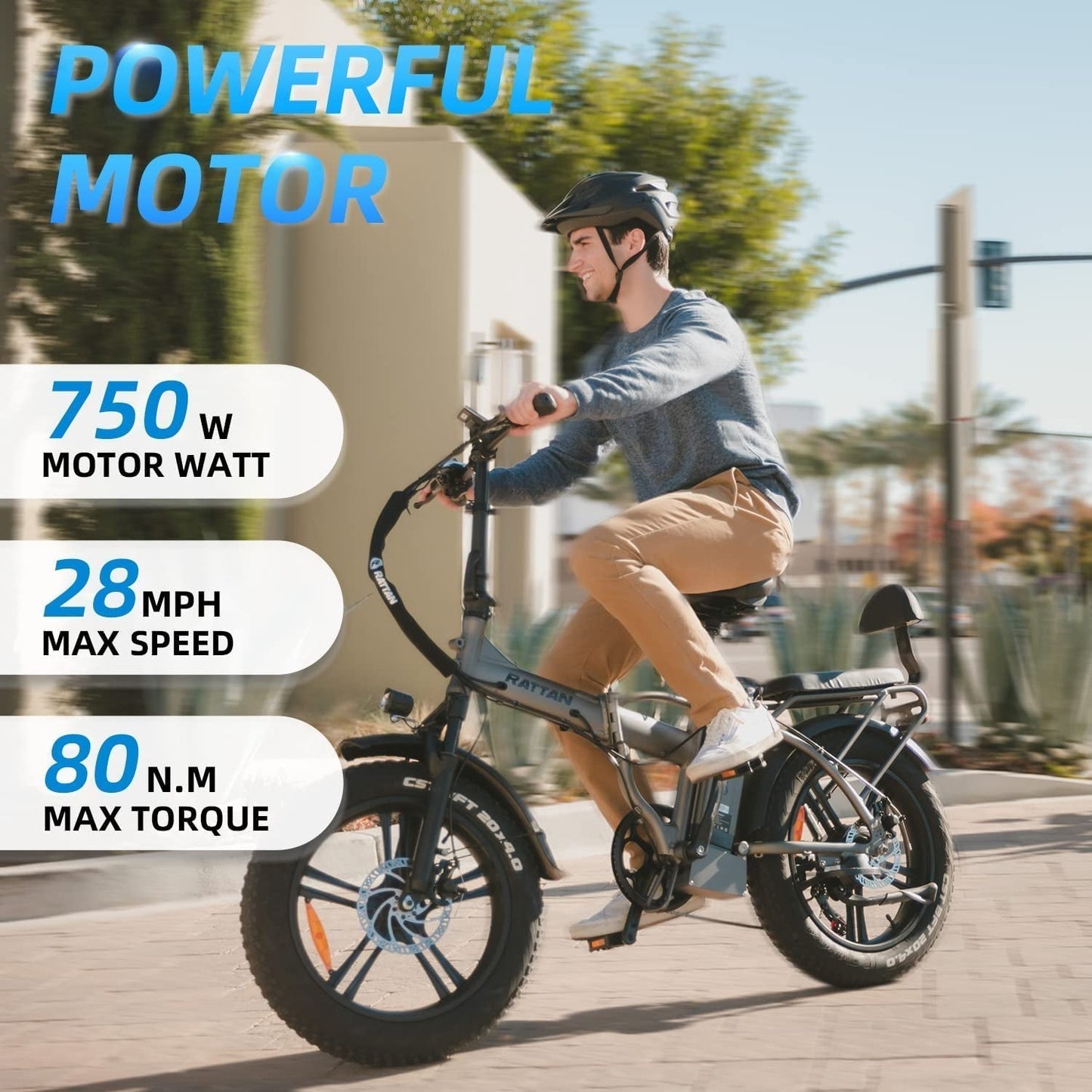 Rattan 750W Electric Bike for Adults 48V 13AH Removable Battery Foldable Electric Bikes LM/LF Pro Ebike 20" X 4.0 Fat Tire Electric Bicycles 2 Seater