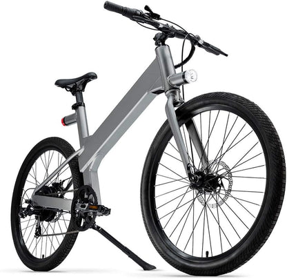 V1 Electric Bike
