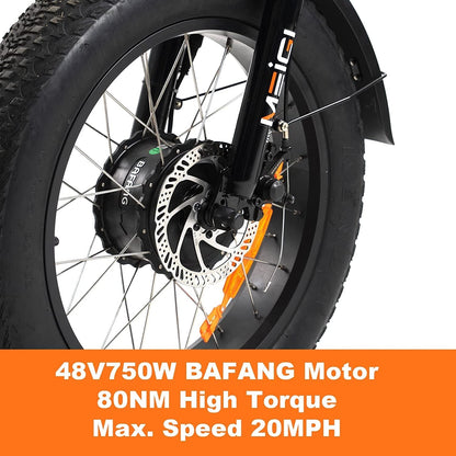 3 Wheel Electric Bike for Adult with 750W Motor, 48V 18.2AH Removable Lithium Battery, 20"*4.0 Fat Tire Tricycles for Men Women with Front & Rear