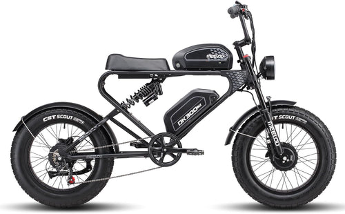 Electric Bike for Adults,Dual Motor & Dual Battery,20" X 4.0 Fat Tire Electric Bicycle with 48V 40Ah Removable Battery, up to 35MPH & 150Miles, Shock