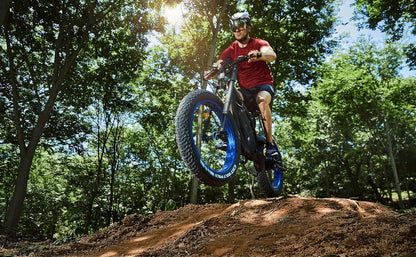 Powerful Electric Bike 1000W Motor 17.6AH/48V Battery 26" X 4.8" Fat Tire Ebike with Suspension Fork Aluminum Frame Mountain Bike Beach E-Bike Snow