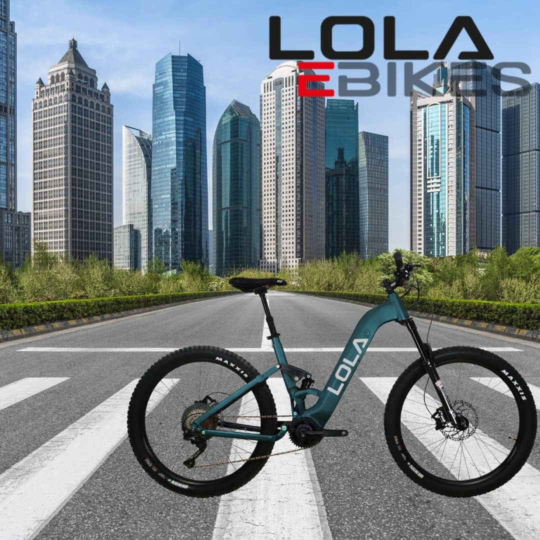 Electric Bicycle 250W  100% Made in Spain