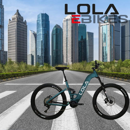 Electric Bicycle 250W  100% Made in Spain