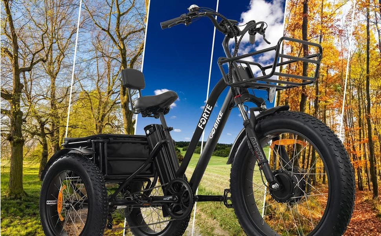 Electric Trike for Adults, 3 Wheel Motorized Bicycle with Big Wheels, Long Range Adult Tricycle up to 40 Miles, Foldable Three Wheel Bikes, 750W Motor
