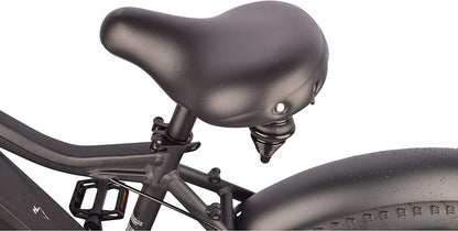 DJ Fat Bike 750W 48V 13Ah Power Electric Bicycle, Matte Black, LED Bike Light, Suspension Fork and Shimano Gear