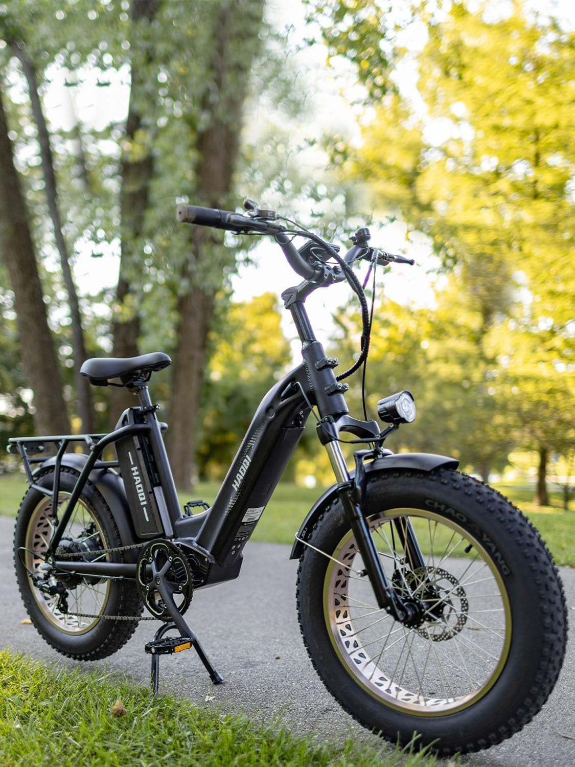 Antelope Electric Bike for Adults, Dual Battery Fat Tire Ebike, 750W Motor 48V 25AH Removable Battery, 20" X 4.0 Step-Thru Electric Bicycle with
