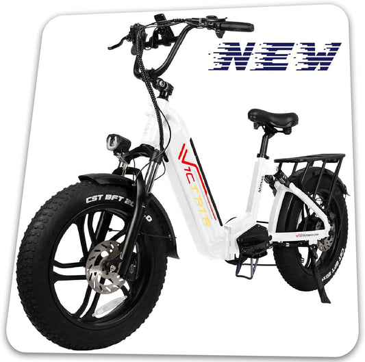 750W Electric Bike for Adults 20Ah LG Cell Battery Full Suspension 30Mph 20" X4.0 Fat Tire Ebike Cruise Control 7-Speed Commuter Bicycle
