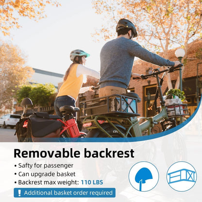 Rattan 750W Electric Bike for Adults 48V 13AH Removable Battery Foldable Electric Bikes LM/LF Pro Ebike 20" X 4.0 Fat Tire Electric Bicycles 2 Seater