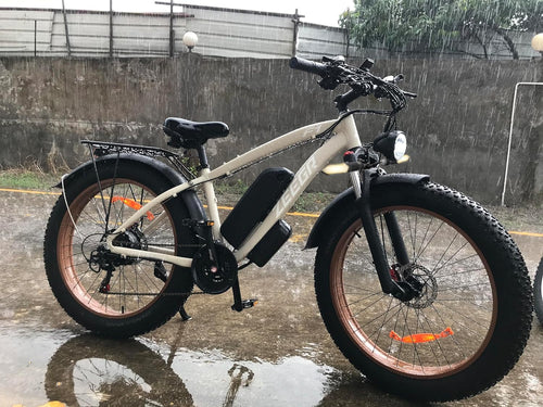 1000W Electric Bike for Adults,Powerful Motor 48V 16AH Battery Snow Beach Ebike Hydraulic Disc Brake Electric City Bike up to 31MPH All Terrain 26"