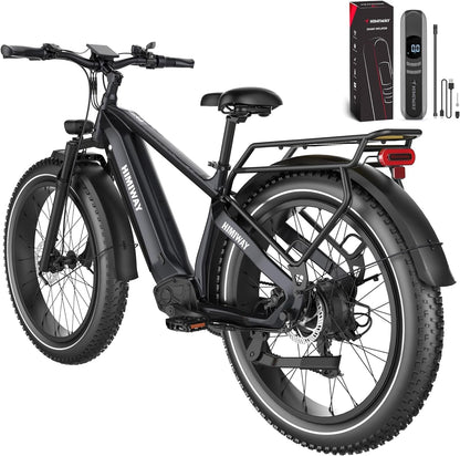 Zebra Step over with Electric Bike Inflator