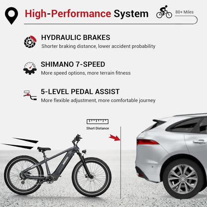 Zebra Step over with Electric Bike Inflator