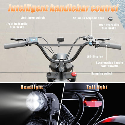 Electric Bike for Adults, Dual Motor & Dual Battery, 2400W/48V/40Ah, 20"X4.0" Fat Tires off Road Electric Bicycle with Removable Battery, 45MPH&75-150