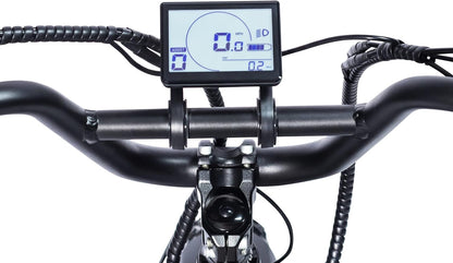 20'' Fat Tire Electric Bike for Adult,750W Motor 48V 20Ah Lithium Battery Step-Thru Electric Bicycle for Beach Snow 7 Speeds