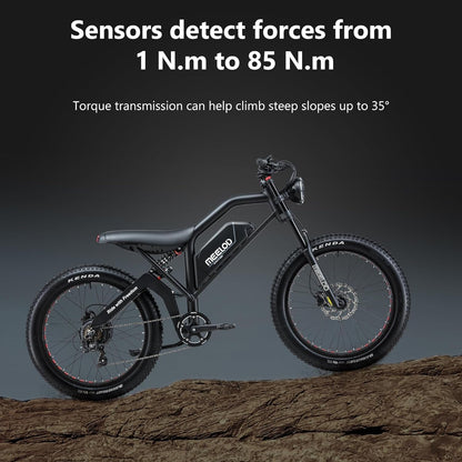 Electric Bike for Adults, Mountain Bike Ebike with 1500W/1200W Dual Motor/Single Motor 48V 25Ah Samsung Lithium Battery 26''X4.0'' Spoke Fat Tire 35