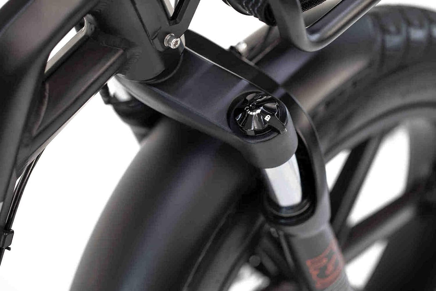 F1000 Foldable Electric Bike 20" Fat Tire E-Bike 750W Das-Kit Motor 20MPH 1008Wh 48V 21AH Removable Large Battery LCD Display Hydraulic Disc Brake 8