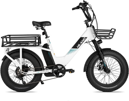 Adults Electric Bike Cargo, 750W 48V Brushless Motor E Bikes, 20 Inches 4.0 Fat Tire Aluminum Alloy Frame Suspension Fork Electric Bicycle with Racks