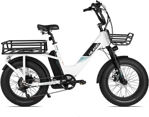 Adults Electric Bike Cargo, 750W 48V Brushless Motor E Bikes, 20 Inches 4.0 Fat Tire Aluminum Alloy Frame Suspension Fork Electric Bicycle with Racks